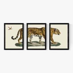 East End Prints Set of 3 Jaguar Prints - thumbnail 2