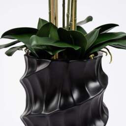 Artificial Real Touch Phalaenopsis Orchid in Stone Plant Pot - thumbnail 4