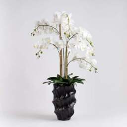 Artificial Real Touch Phalaenopsis Orchid in Stone Plant Pot - thumbnail 5