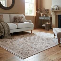 Elodie Traditional Rug - thumbnail 1