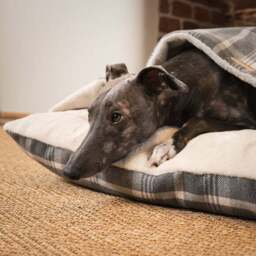 Lords and Labradors Balmoral Tweed Sleepy Burrow Dog Bed - thumbnail 2