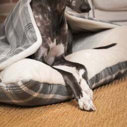 Lords and Labradors Balmoral Tweed Sleepy Burrow Dog Bed - thumbnail 3