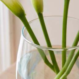 Curved Glass Bullet Vase - thumbnail 2