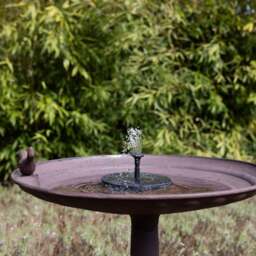 Fallen Fruits Solar Fountain Bird Bath - thumbnail 1