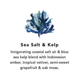 Northern Lights Set of 6 Sea Salt and Kelp Votive Candles - thumbnail 2