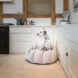 Lords and Labradors Velvet High Wall Dog Bed - thumbnail 2