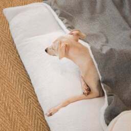 Lords and Labradors Inchmurrin Burrow Dog Bed - thumbnail 2