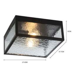 London Industrial Outdoor 2 Light Flush Porch Ceiling Light - thumbnail 6
