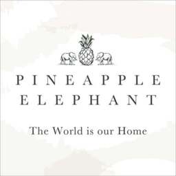 Pineapple Elephant Jaipur Waffle Cushion - thumbnail 6
