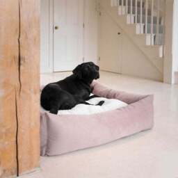 Lords and Labradors Velvet Box Dog Bed - thumbnail 2