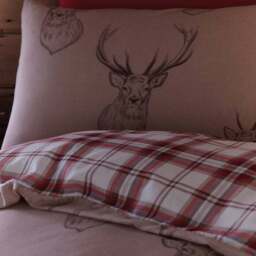 Catherine Lansfield Stag Natural Duvet Cover and Pillowcase Set - thumbnail 2