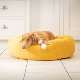 Lords and Labradors Velvet Donut Dog Bed - thumbnail 1