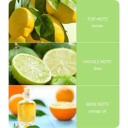 Heart and Home Ellipse Citrus Crush Multi Wick Candle - thumbnail 4