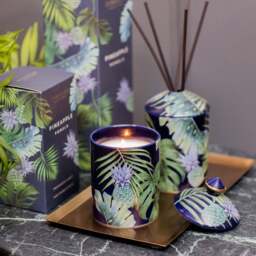 Stoneglow Urban Botanics Pineapple Pomelo Ceramic Candle