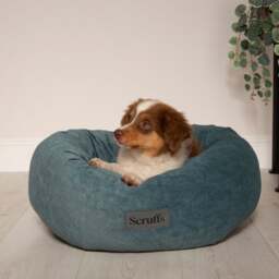 Scruffs Oslo Donut Dog Bed