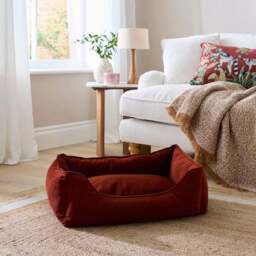 Velvet Box Dog Bed - thumbnail 3