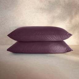 100% Egyptian Cotton 220 Thread Count Standard Pillowcase Pair - thumbnail 5