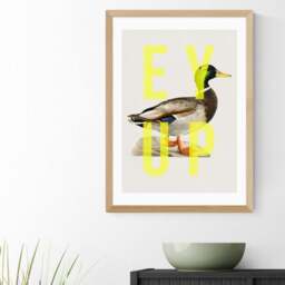 East End Prints Ey Up Duck Print - thumbnail 1