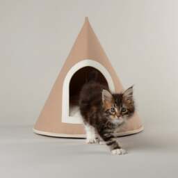 Scruffs Stockholm Felt Cone Cat Bed