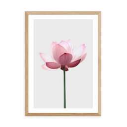 East End Prints Lotus Print - thumbnail 2