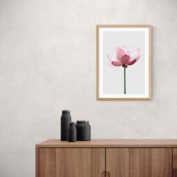 East End Prints Lotus Print - thumbnail 1
