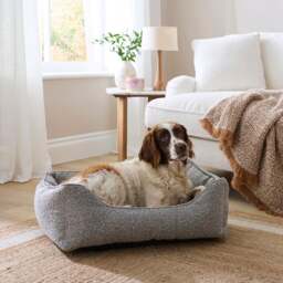 Boucle Box Dog Bed - thumbnail 1
