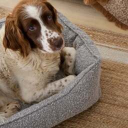 Boucle Box Dog Bed - thumbnail 2