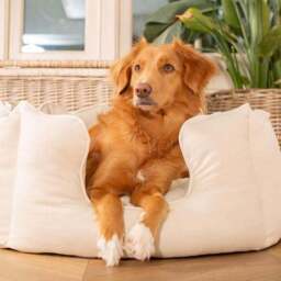 Lords and Labradors Savanna High Wall Dog Bed - thumbnail 3