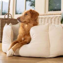 Lords and Labradors Savanna High Wall Dog Bed - thumbnail 2