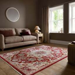 Adeline Traditional Rug - thumbnail 1