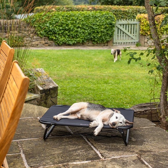 Bunty Pets Foldable Elevated Dog Bed