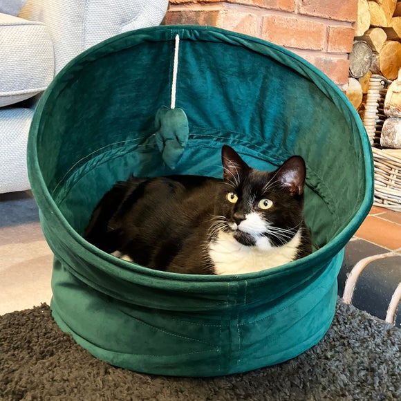 Rosewood Velvet Canopy Green Cat Bed - image 1