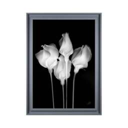 The Art Group Mono Floral II Framed Print - thumbnail 2