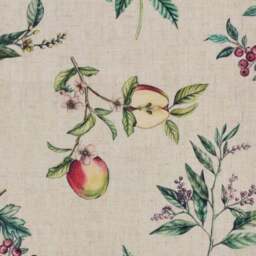 Petit Botanical Orchard Print Occasional Armchair - thumbnail 6