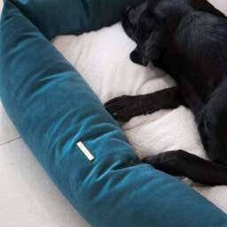 Lords and Labradors Velvet Box Dog Bed - thumbnail 2