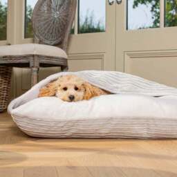 Lords and Labradors Essentials Sleepy Burrow Dog Bed - thumbnail 3