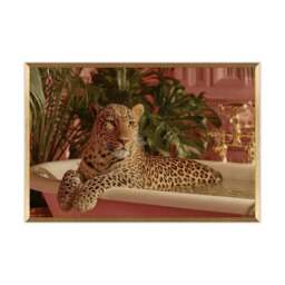 Artko Lux Lounger Framed Print - thumbnail 3