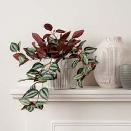 Artificial Violet Trailing Plant in Black Plant Pot - thumbnail 1
