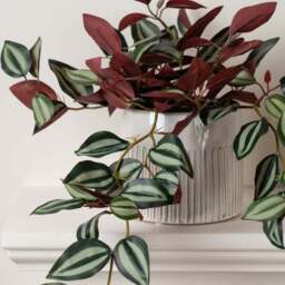 Artificial Violet Trailing Plant in Black Plant Pot - thumbnail 2
