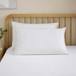 Fogarty Anti Allergy 100% Cotton Standard Pillowcase Pair