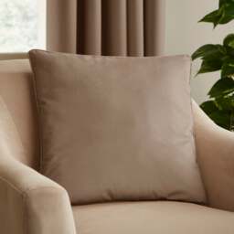 Luxe Velour Cushion