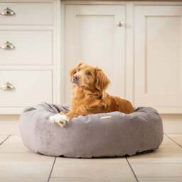 Lords and Labradors Velvet Donut Dog Bed - thumbnail 2