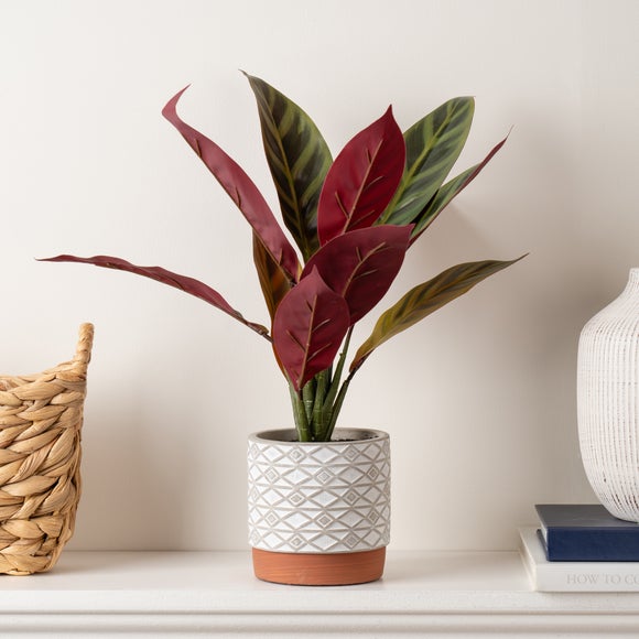 Artificial Maranta in White Ceramic Plant Pot - image 1