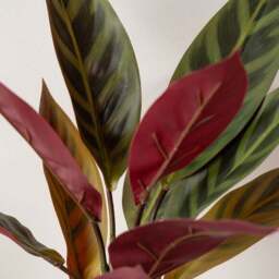 Artificial Maranta in White Ceramic Plant Pot - thumbnail 2