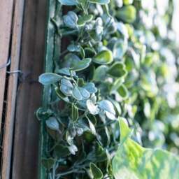 Artificial Mixed Foliage Flower Wall Panel - thumbnail 3