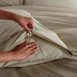 100% Egyptian Cotton 220 Thread Count Standard Pillowcase Pair - thumbnail 4