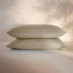 100% Egyptian Cotton 220 Thread Count Standard Pillowcase Pair - thumbnail 5