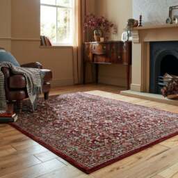 Sandford Vintage Patterned Rug - thumbnail 1
