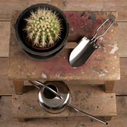 Fallen Fruits Square Dustpan and Brush - thumbnail 1
