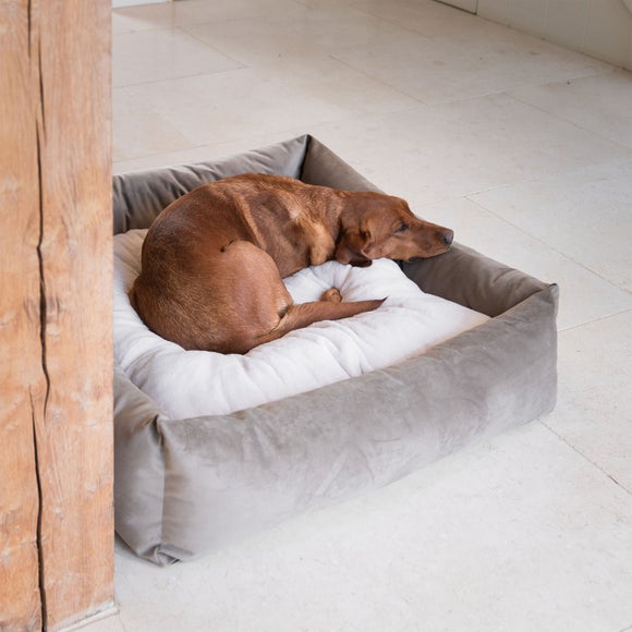 Lords and Labradors Velvet Box Dog Bed - image 1
